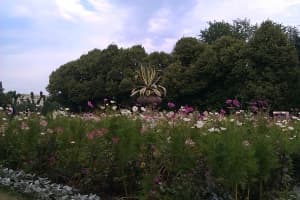 примеры снимков HTC Desire C