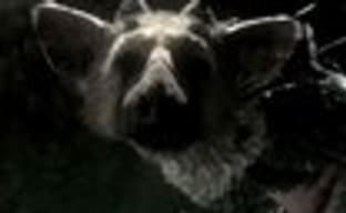 The Last Guardian и ICO/Shadow of the Colossus Collection вновь отложили