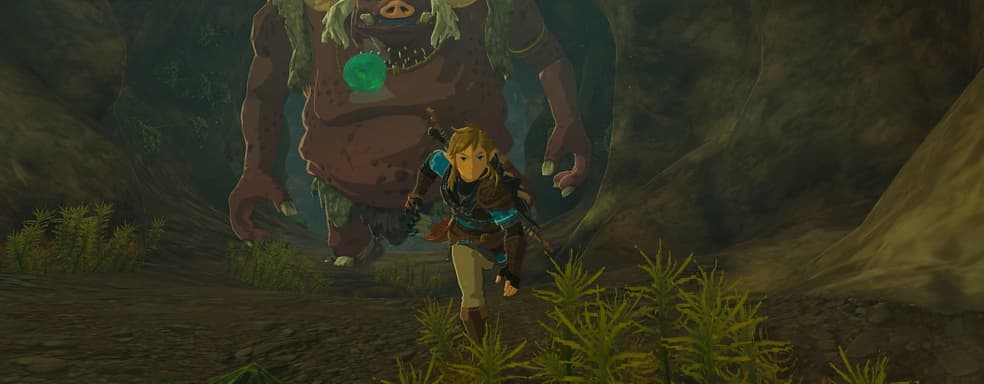 Nintendo вынудила игровой магазин уволить сотрудника из-за утечки по Tears of the Kingdom