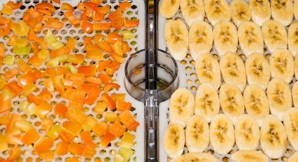 Дегидратор Gochu D-310