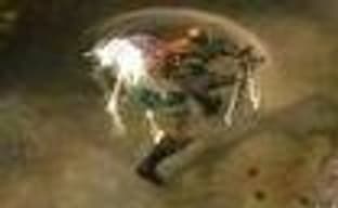 Blizzard: никакого изменения цветовой гаммы Diablo III