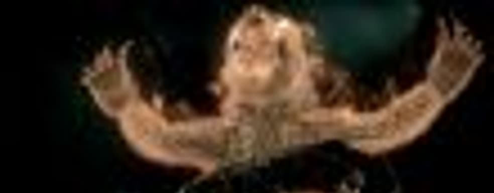 Экипировка, облики, фаталити и «эмоции» Ночного Волка в роликах Mortal Kombat 11