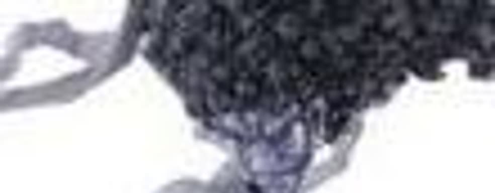 Бонусы для покупателей Afro Samurai