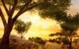 Far Cry 2: погибшие товарищи - меньше миссий