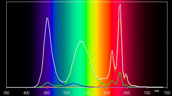 Обзор смартфона Apple iPhone 7 Plus. Тестирование дисплея