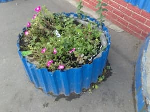 камера Sony Xperia sola — примеры снимков