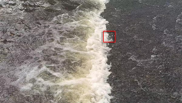 Видеосъемка смартфоном. HTC One M9 Plus