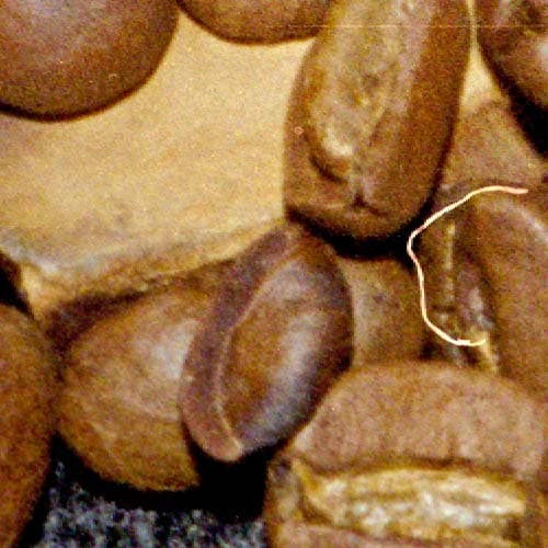 Фрагмент 1:1