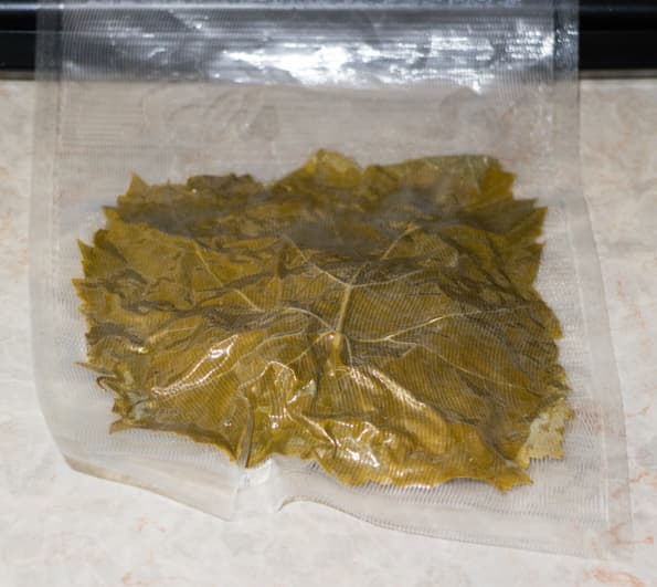 Вакуумный упаковщик Solis Vac Premium