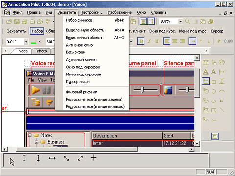 Возможности по захвату скриншотов в программе Annotation Pilot
