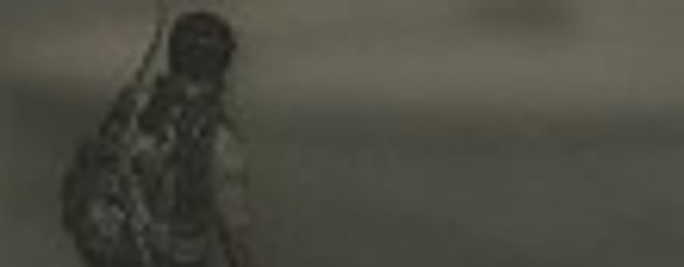 I am Alive - бомжик в тумане