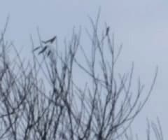 Видеосъемка фотоаппаратом. Fujifilm X-T2