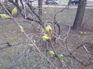 Внешняя камера Внешняя камера