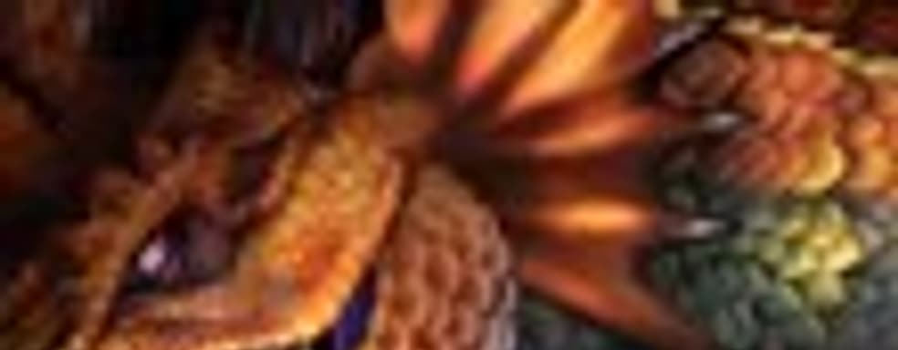 Launch-трейлер Dragon's Crown 