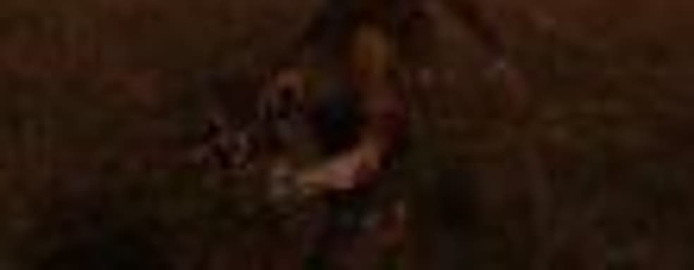 Благодаря моду Skyrim превращается в занятную версию Castlevania 2: Simon's Quest