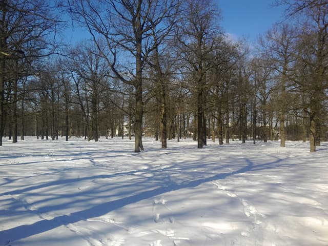 Обзор Highscreen Explosion. Демонстрационный снимок