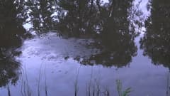 Видеокамера Sony HDR-CX900