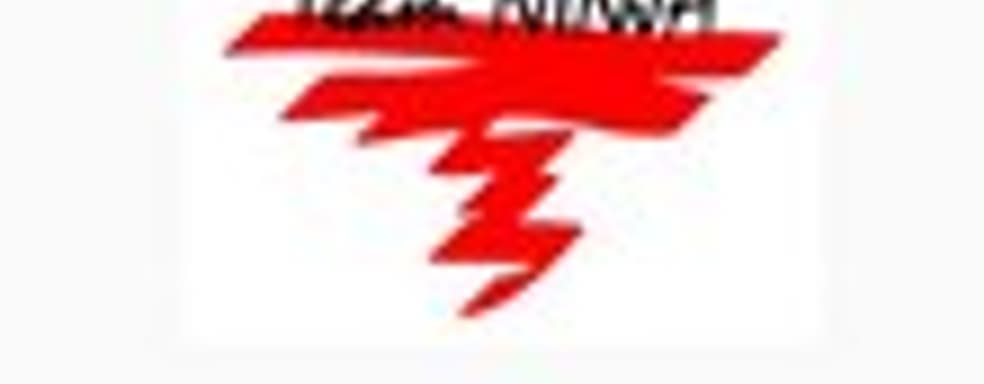 Team Ninja подтвердила разработку Ni-Oh