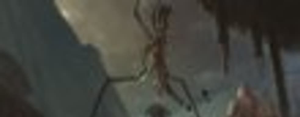 Новые раскраски (Killzone: Mercenary, God of War: Ascension...)