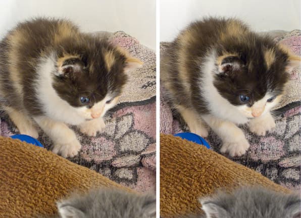 Стереосъемка