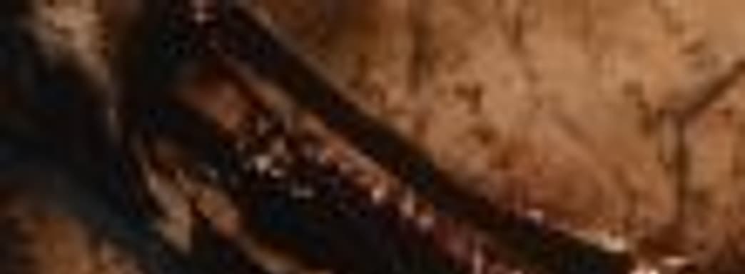 Shadows Die Twice – тизер нового проекта From Software