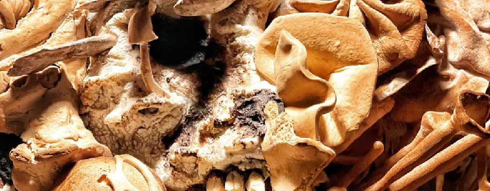 Пекари за 400+ часов создали реалистичного щелкуна из The Last of Us из хлеба