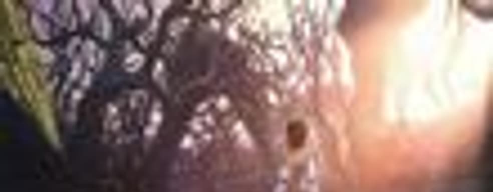 Новые скриншоты (Too Human, Skate It и Fable 2)