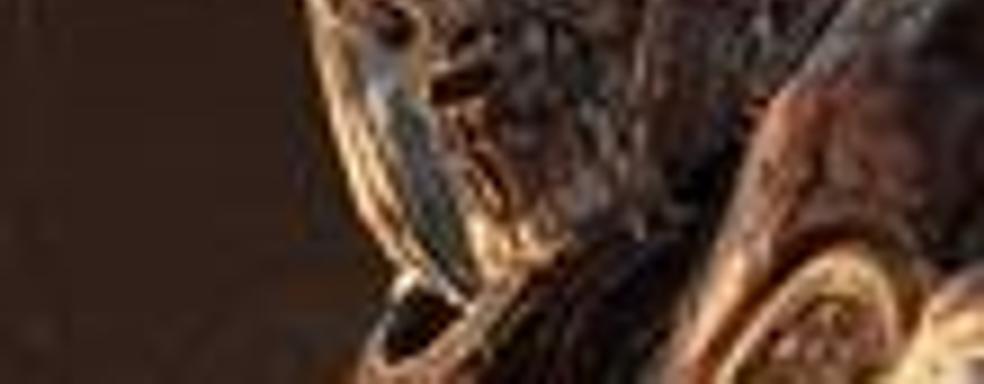 Новые скриншоты (Banjo-Kazooie, Fable 2, Gears of War 2...)