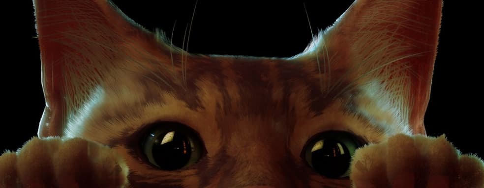 Annapurna работает над экранизацией Stray