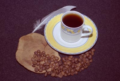 Epson Perfection 4990 Photo