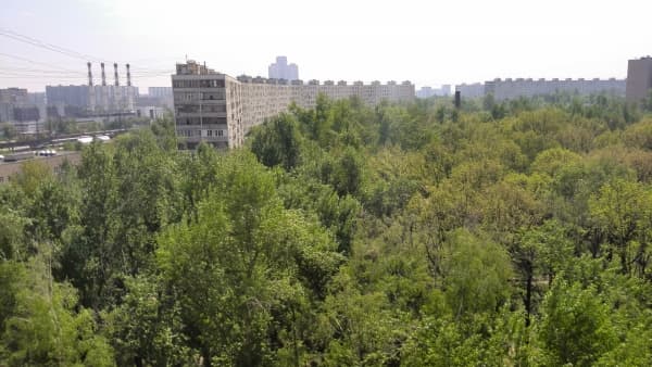 Обзор смартфона Huawei Ascend D2