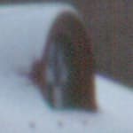 Mustek BearPaw 4800 TA PRO II