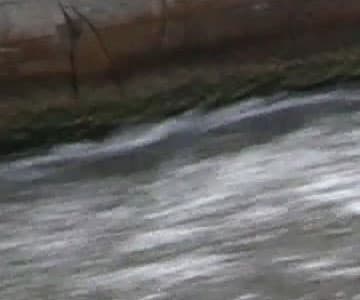 Видеокамера Canon XF405