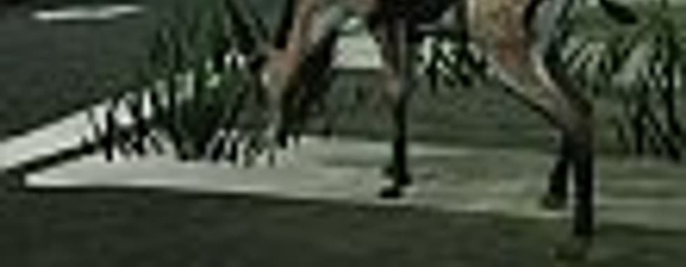 Tokyo Jungle (PS3 - PSN) - крокодилы, бегемоты, обезьяны, кашалоты