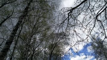 Экшн-камера Nikon KeyMission 80