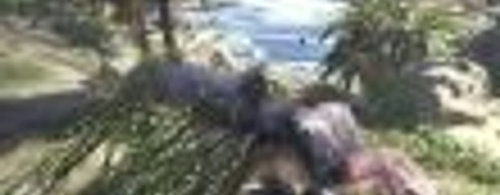 РС-версия Monster Hunter World появится позже консольных