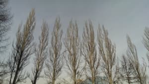 Обзор смартфона HTC One