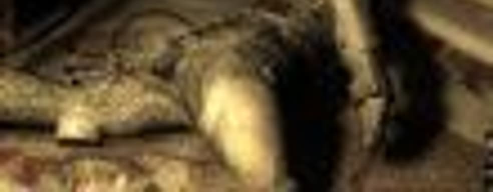 «Анабиоз: Сон разума»: официальный патч