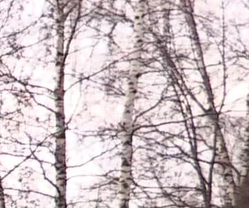 Видеокамера Canon XC10