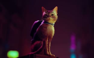 Появились подробности о консольном PS5-эксклюзиве Stray про кота в кибергороде