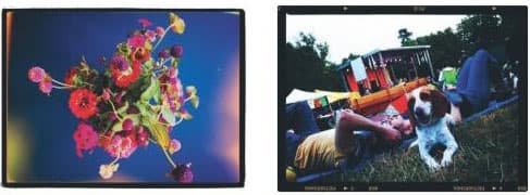 Яблочный коктейль: выпуск №2