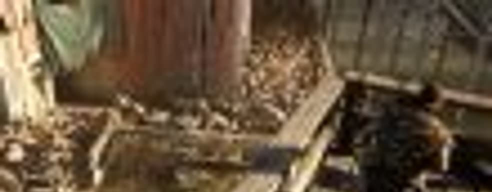 Динамическими событиями в мире Days Gone занимается отдельная команда разработчиков