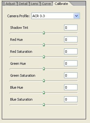 Adobe Camera RAW
