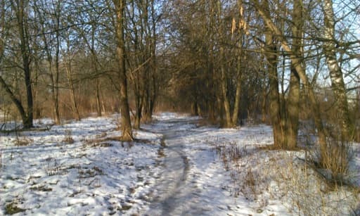 Обзор Huawei W2. Демонстрационный снимок