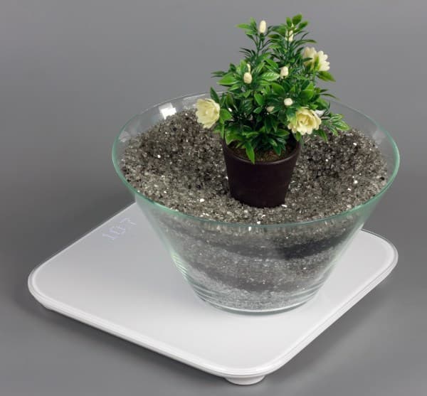 Дизайн весов Xiaomi Mi Smart Scale