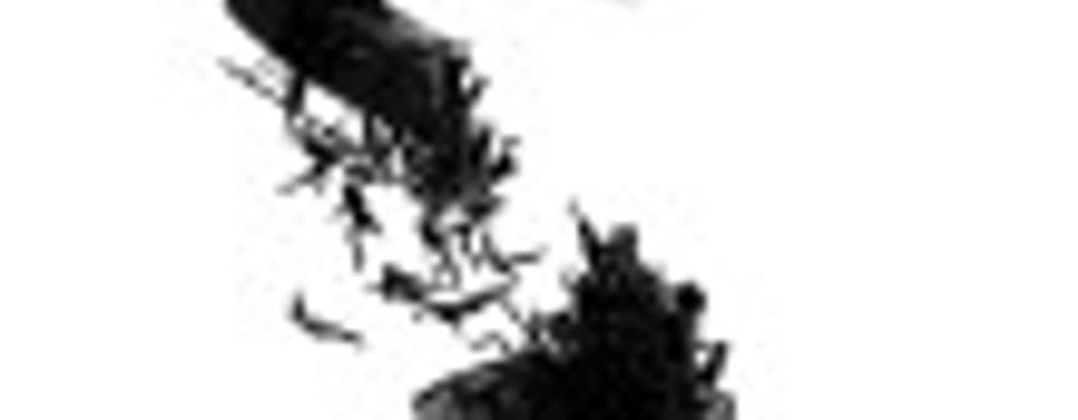 «Война миров Z» — дорогие зомби