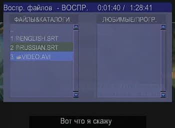 DivX subtitles