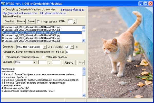 Рабочее окно Svpeg