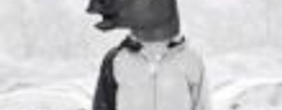 Новые «высоты» фантазии разработчиков: лошадь на сноуборде в игре Snow Horse