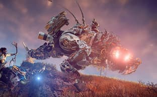 Не самая лучшая версия – издание Horizon Zero Dawn для РС без настройки угла обзора
